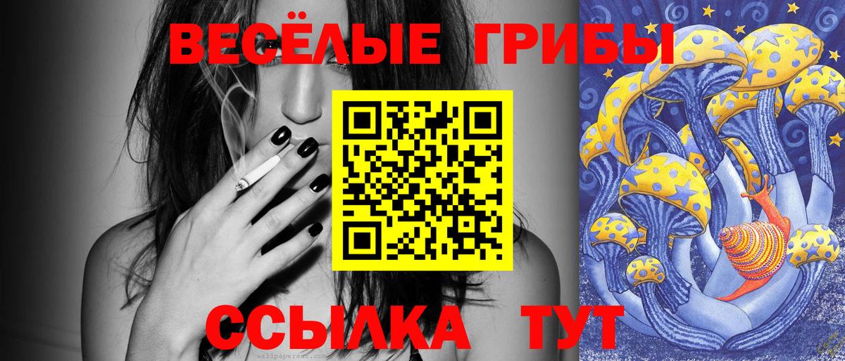 Галлюциногенные грибы GOLDEN TEACHER  Вход с VPN  Луховицы 